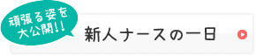 新人ナースの一日